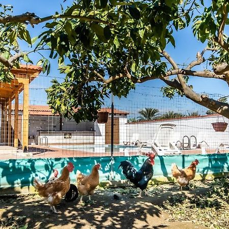 Reel Paradise Villa, Cyprus Ларнака Екстериор снимка