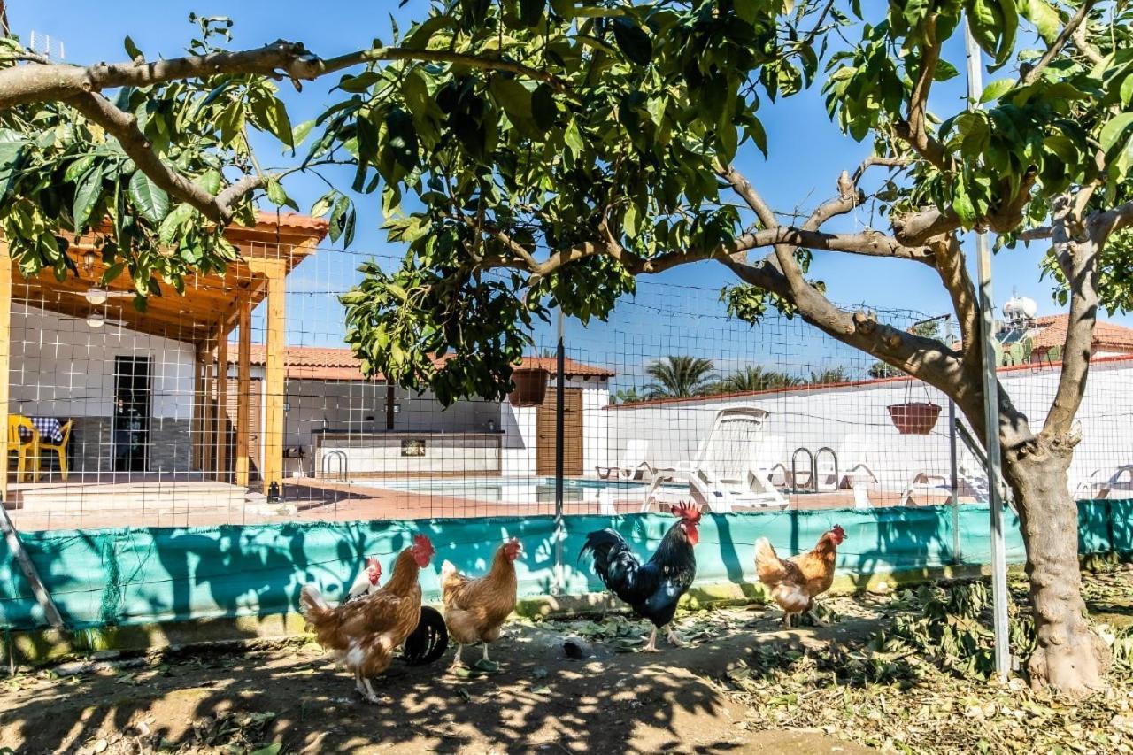 Reel Paradise Villa, Cyprus Ларнака Екстериор снимка